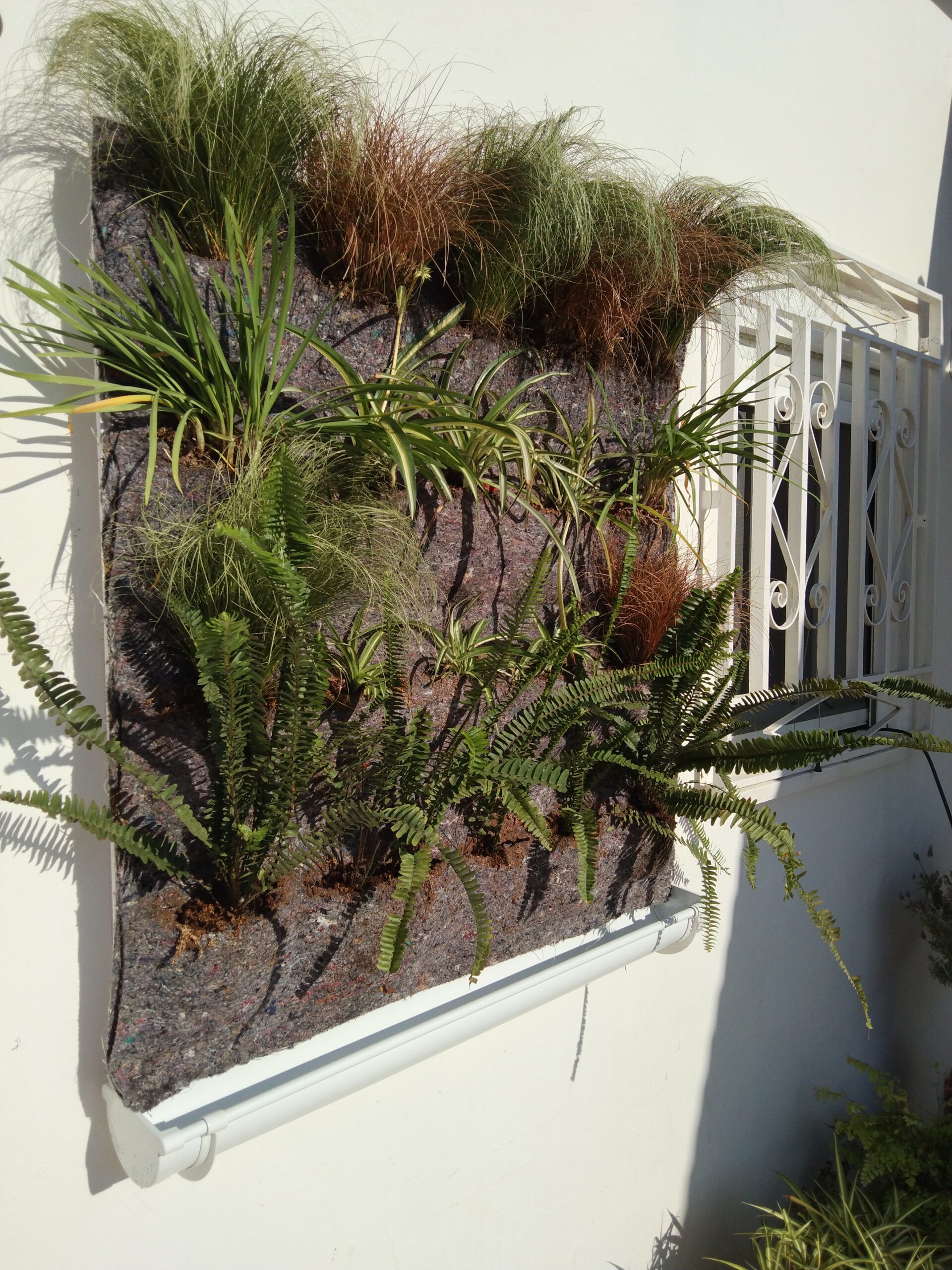 instalacion plantas